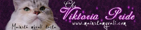 banner viktoria pride